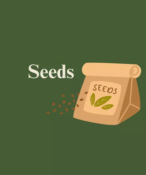 Seeds