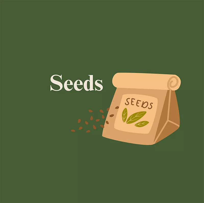Seeds