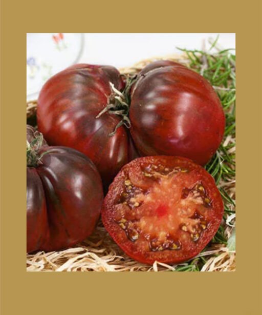 Organic Black Krim Heirloom بذور طماط