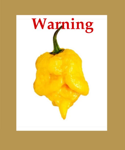 Carolina Reaper Yellow بذور فلفل حار 🌶️🌶️🌶️🌶️