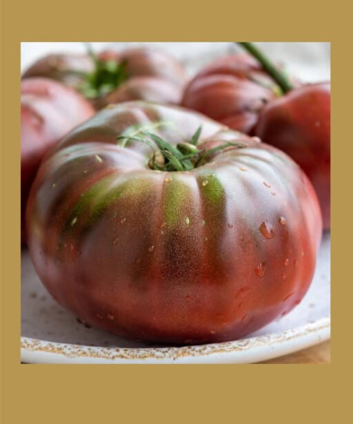 Noire de crimee tomato بذور طماط