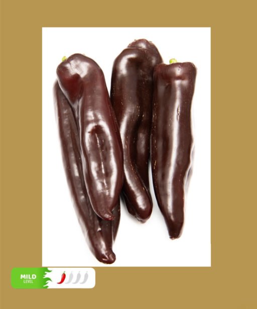 Ramiro Chocolate شتلة فلفل