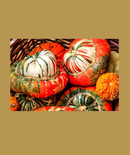 Turkish turnan بذور قرع