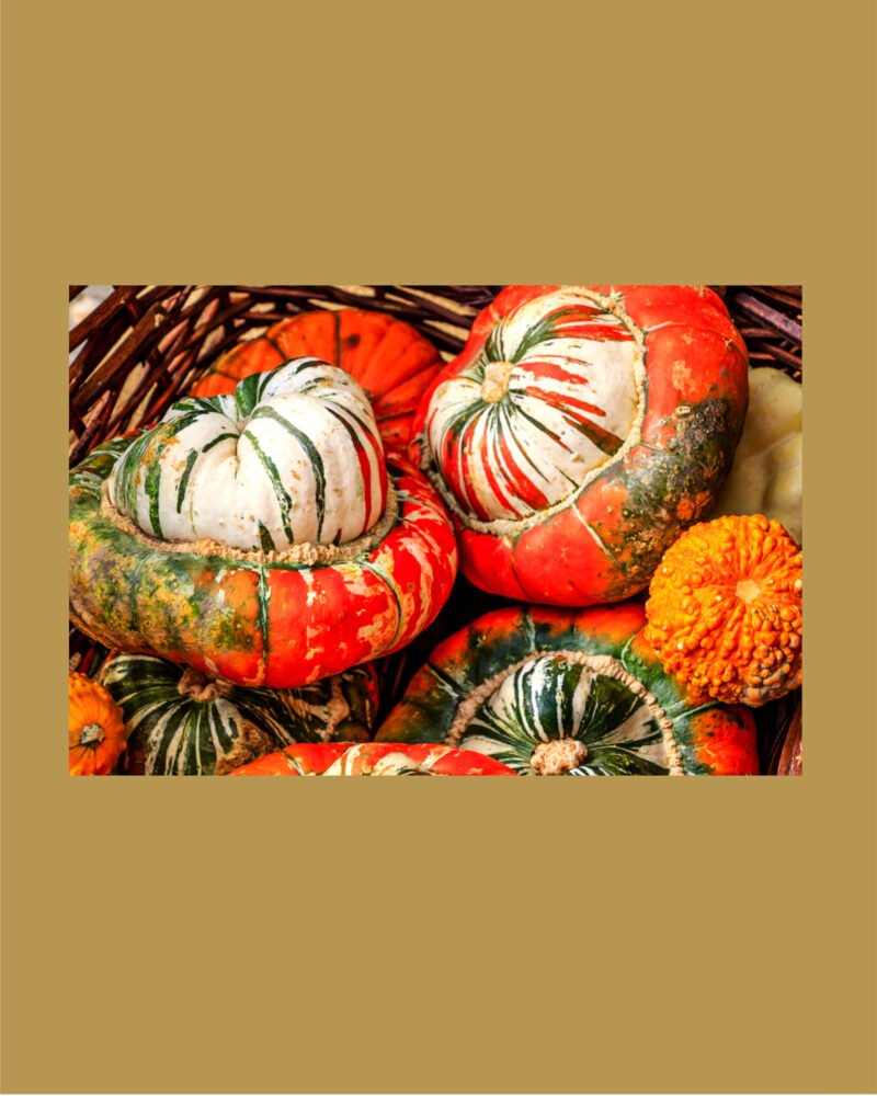 Turkish turnan بذور قرع