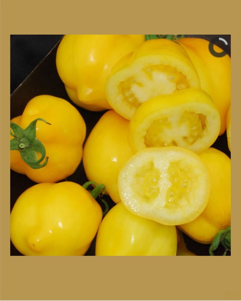 Lemon Tree بذور طماط