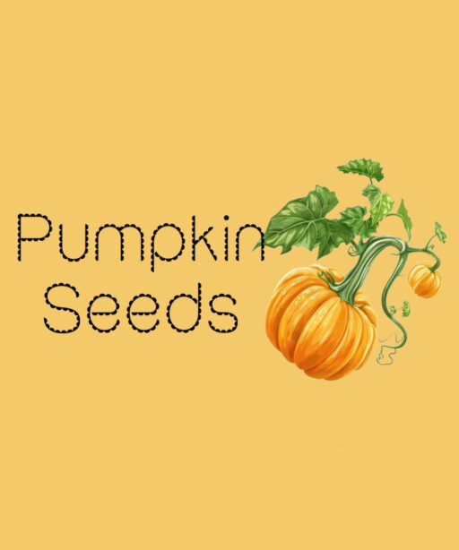 Pumpkin seeds