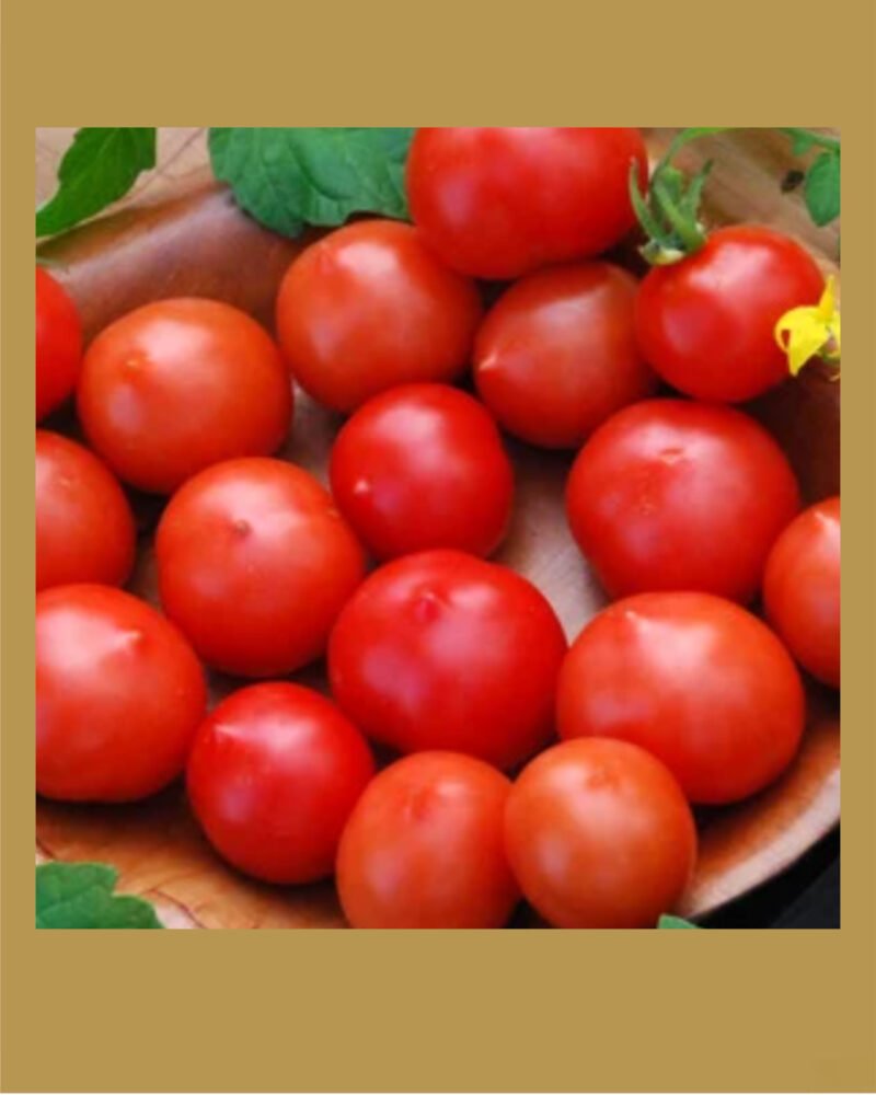 Riesentraube بذور طماط
