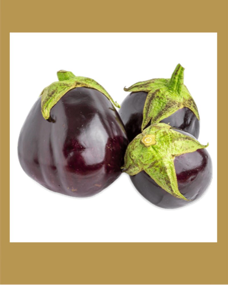 topan patlican بذور باذنجان