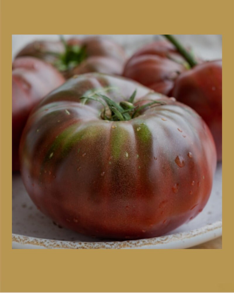 Black Russian بذور طماط