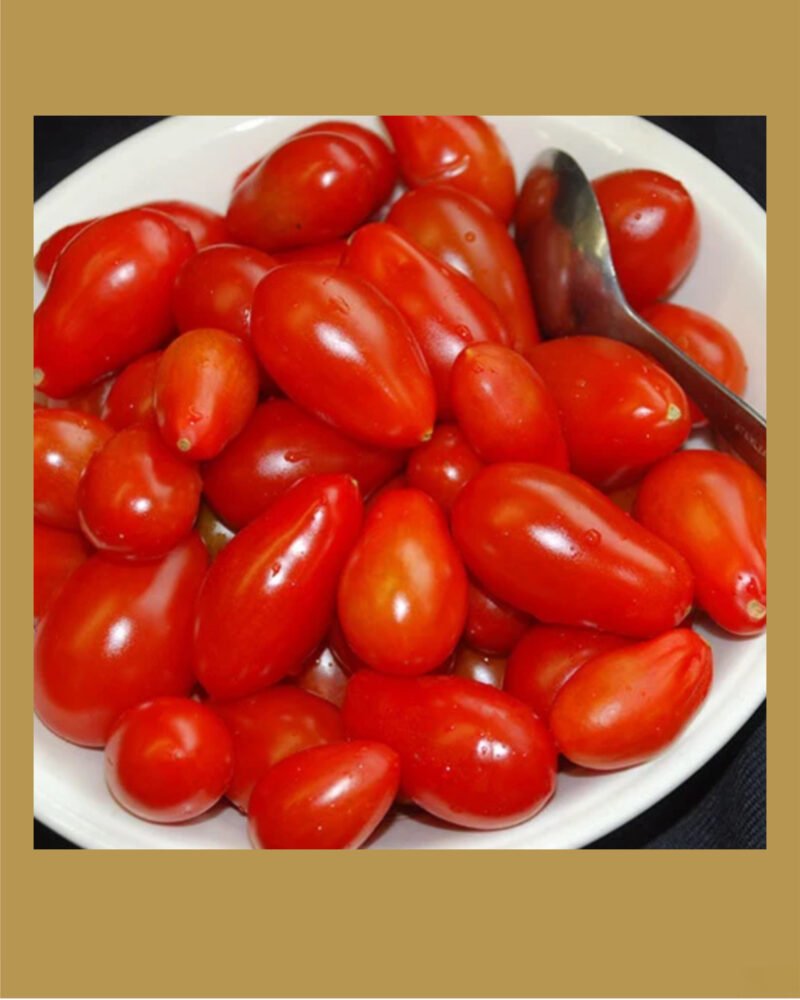 Teardrop Plum بذور طماط