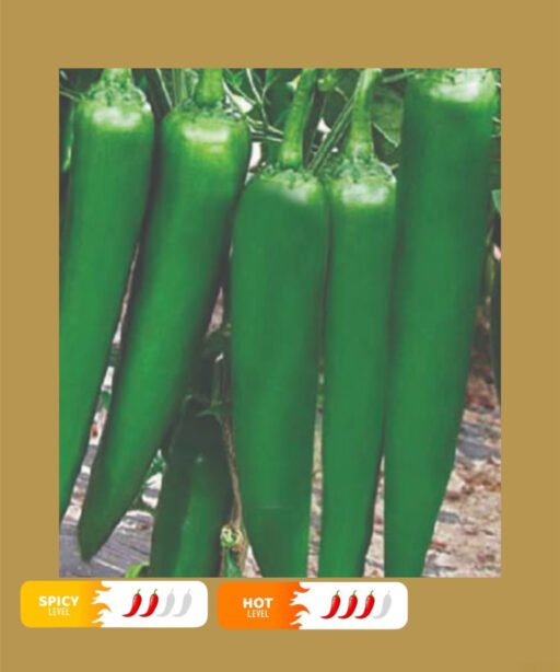Aseel signature   بذور فلفل حار 🌶️🌶️🌶️