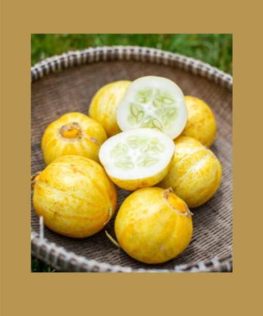 lemon cucumber بذور خيار
