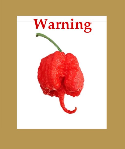 Carolina Reaper Red بذور فلفل حار 🌶️🌶️🌶️🌶️