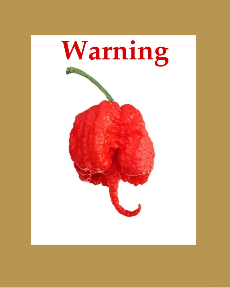 Carolina Reaper Red بذور فلفل حار 🌶️🌶️🌶️🌶️