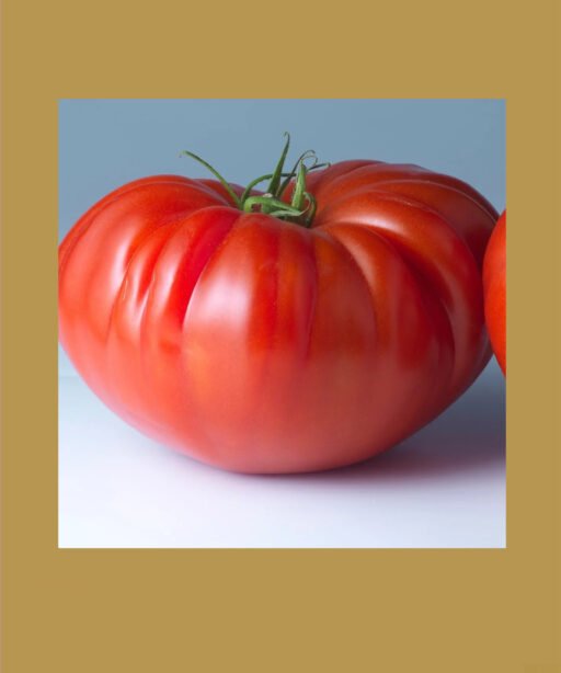 Monomakh's Cap Tomato شتلة طماط