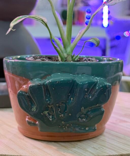 Pot or Mug 6