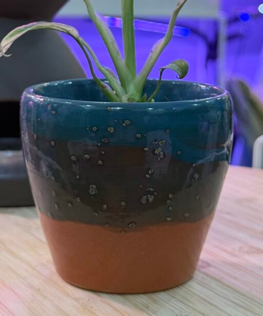 Pot or Mug 11