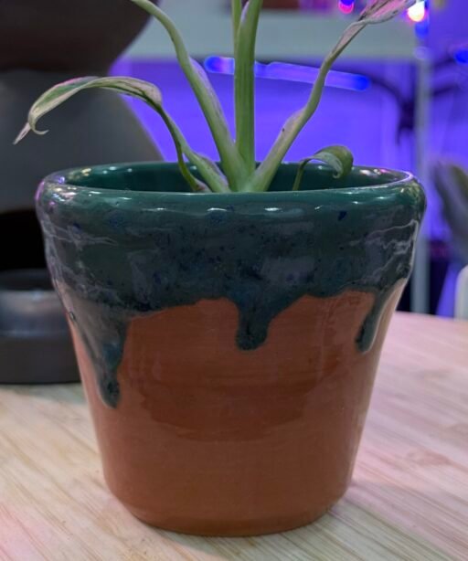 Pot or Mug 12