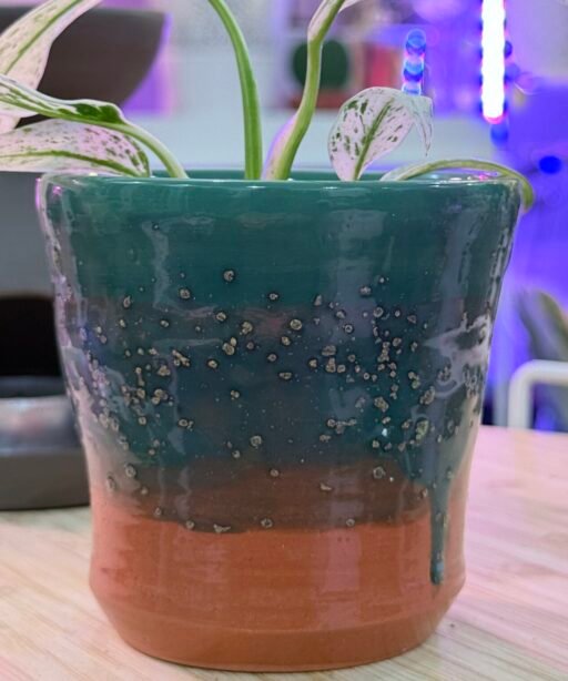 Pot or Mug 13