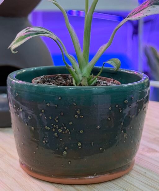 Pot or Mug 14