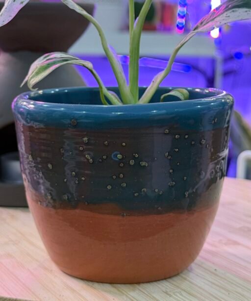 Pot or Mug 15