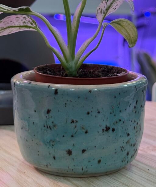Pot or Mug 10