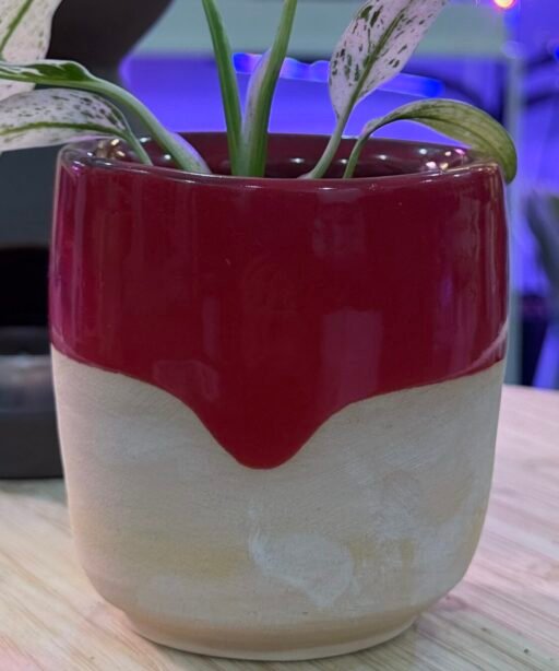 Pot or Mug 9