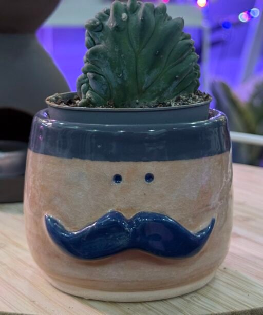 Pot or Mug 4