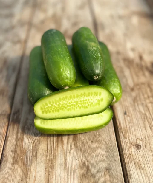 Baby Cucumber شتلة خيار