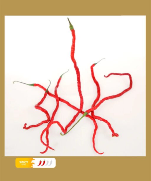 Longhorn Pepper شتلة فلفل