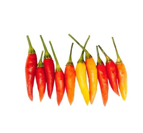 Alternative view of Tabasco Hot Pepper شتلة فلفل