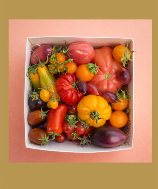 Tomato Mix Box بوكس التذوق