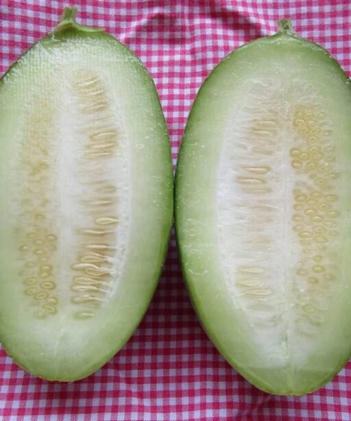 Alternative view of Carozello Paris cucumber melon شتلة شمام الخيار