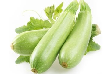 Alternative view of White Zucchini شتلة كوسا