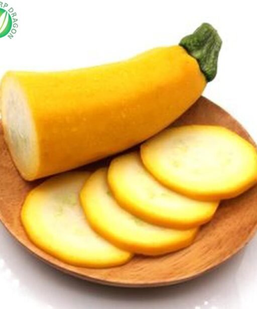 Alternative view of Yasmine yellow شتلة كوسا