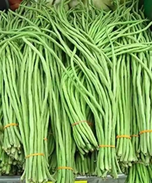 Alternative view of Bush cowpea شتلة لوبيا