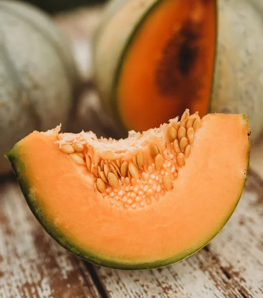 Alternative view of Charentais Melon شتلة بطيخ