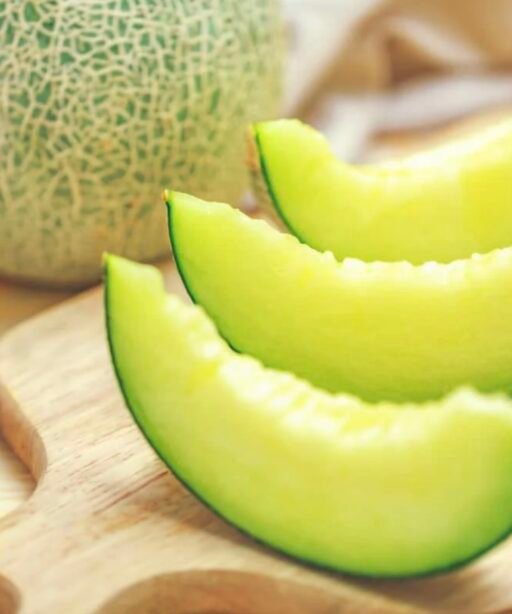 Alternative view of Honey Dew Green Melon (Cucumis melo) شتلة بطيخ