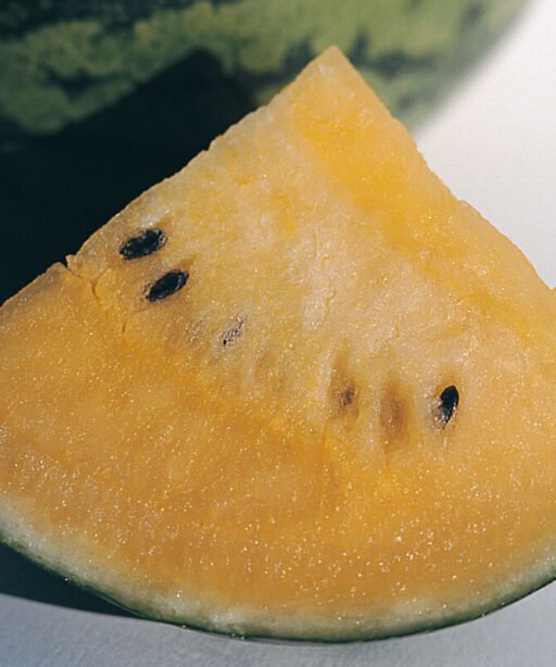 Alternative view of Orange New Orchid F1 شتلة رقي