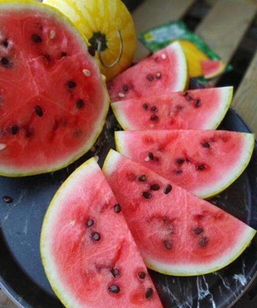 Alternative view of Barcelona F1 شتلة رقي