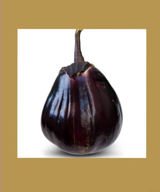 MiToyo شتلة باذنجان