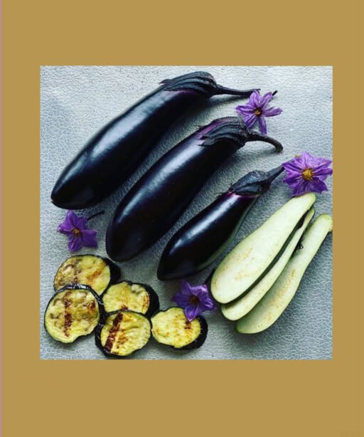 Real Black شتلة باذنجان