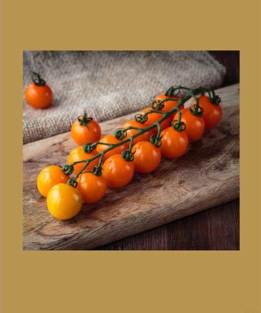 Sungold شتلة طماط