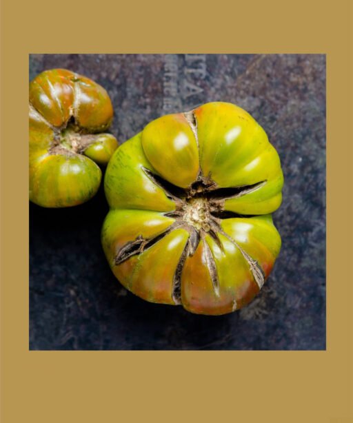 Cherokee Green شتلة طماط