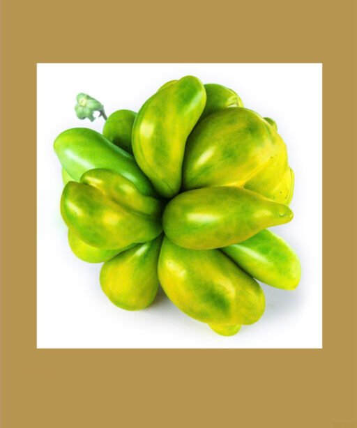Phils Two Green Brain شتلة طماط