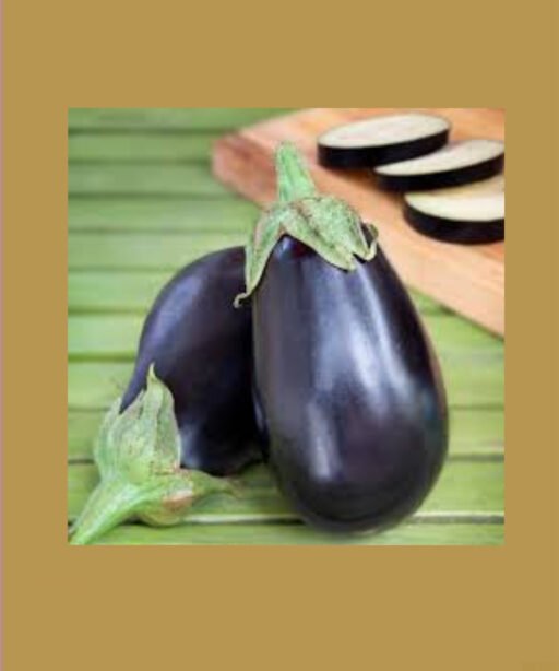 Black Beauty شتلة باذنجان