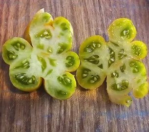 Alternative view of Phils Two Green Brain شتلة طماط