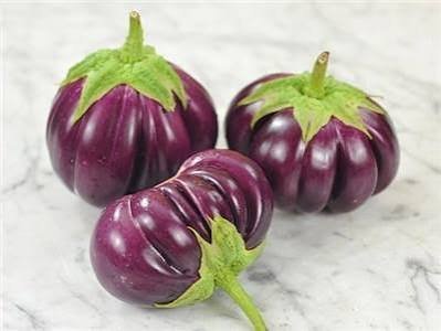 Alternative view of thai purple ribbed شتلة باذنجان